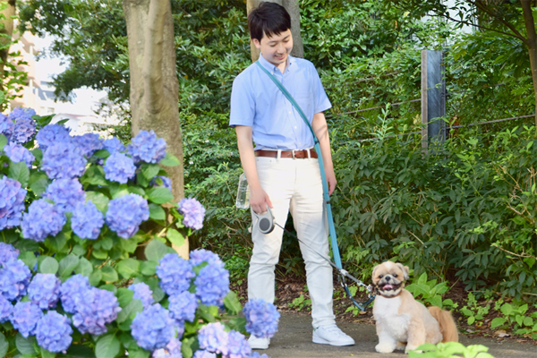 自然豊かなお散歩コース